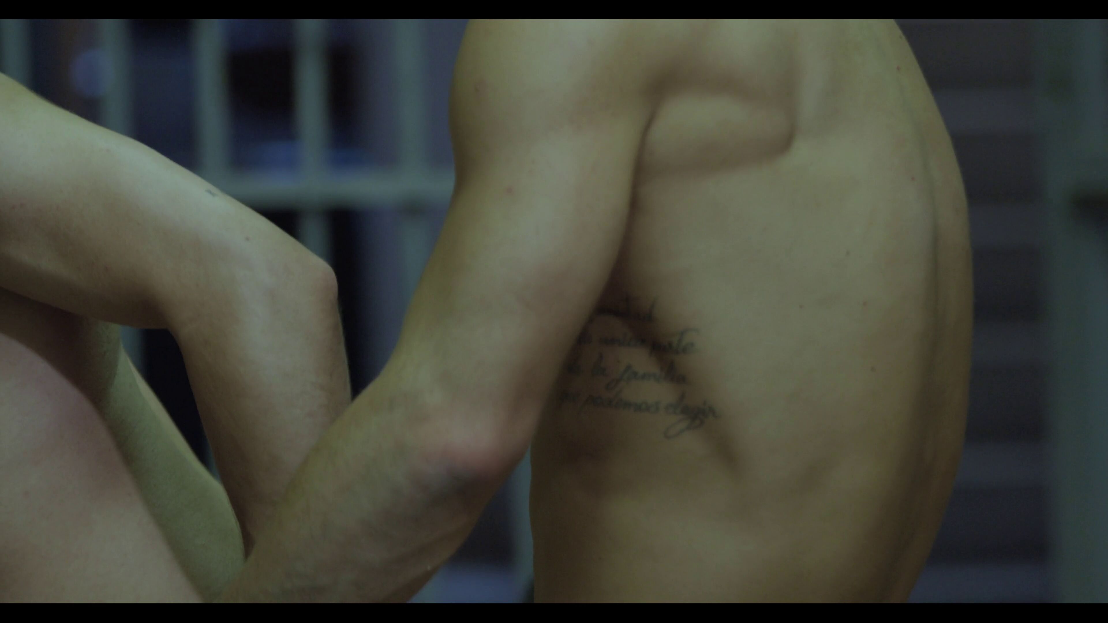 Hung Gay Prison DP