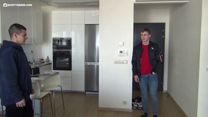 Slovak Stud Flexes